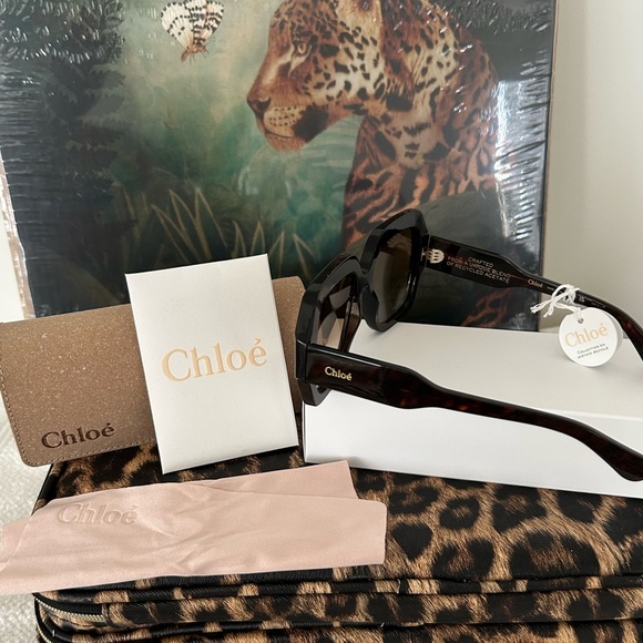 (NEW) CHLOE Authentic Luxury Havana Sunnies - Picture 3 of 6